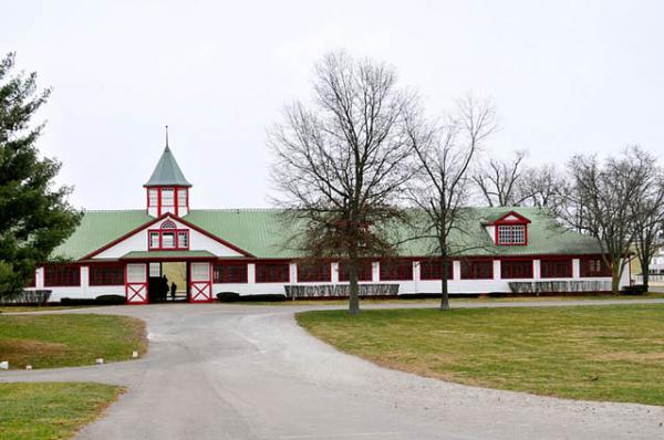 Calumet Farm — одна из ведущих ферм, специализирующихся на разведении чистопородных рысаков